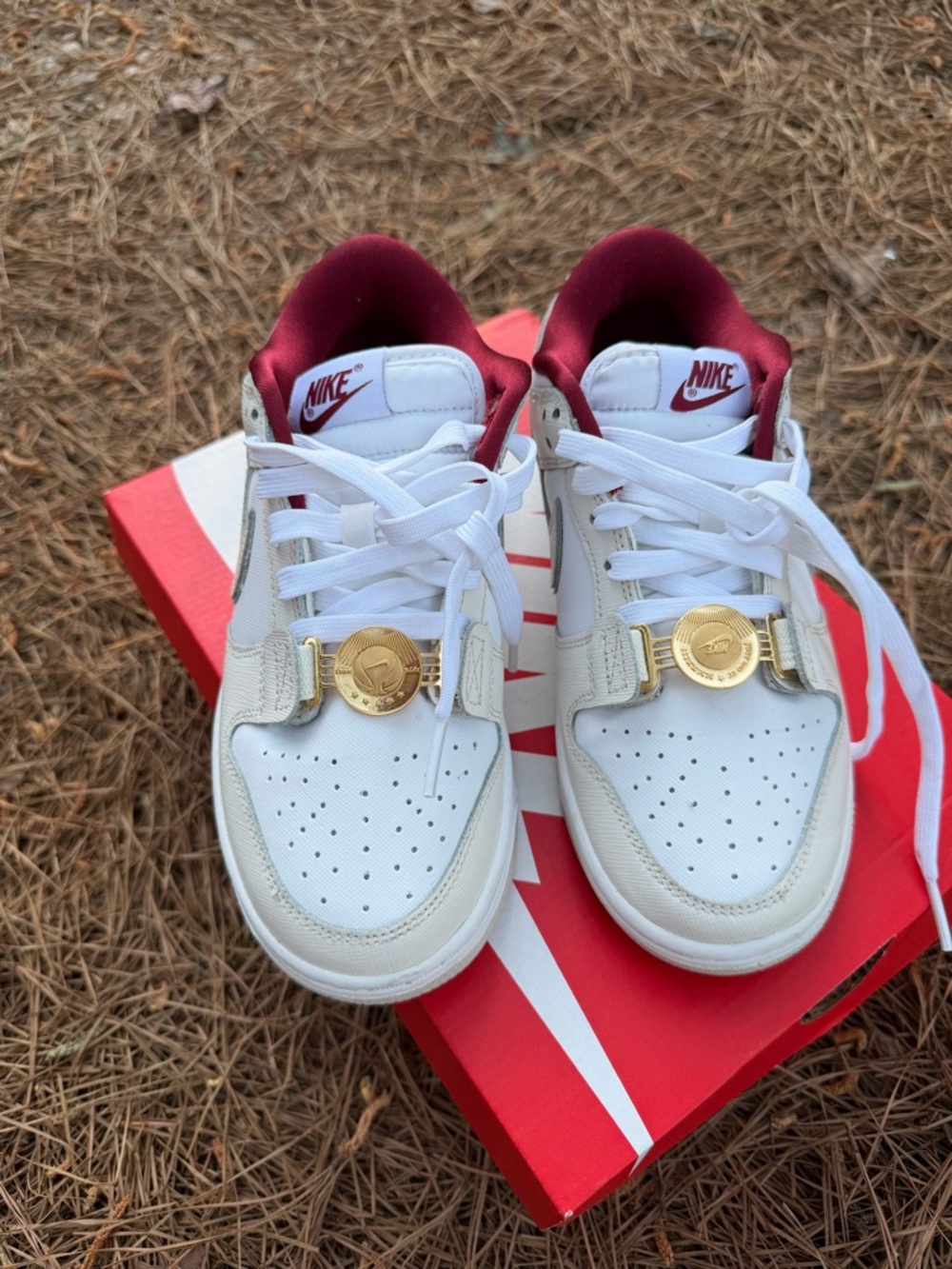 Nike Dunk SE Low ‘Sisterhood’ DV1160-100 Women’s 6.5